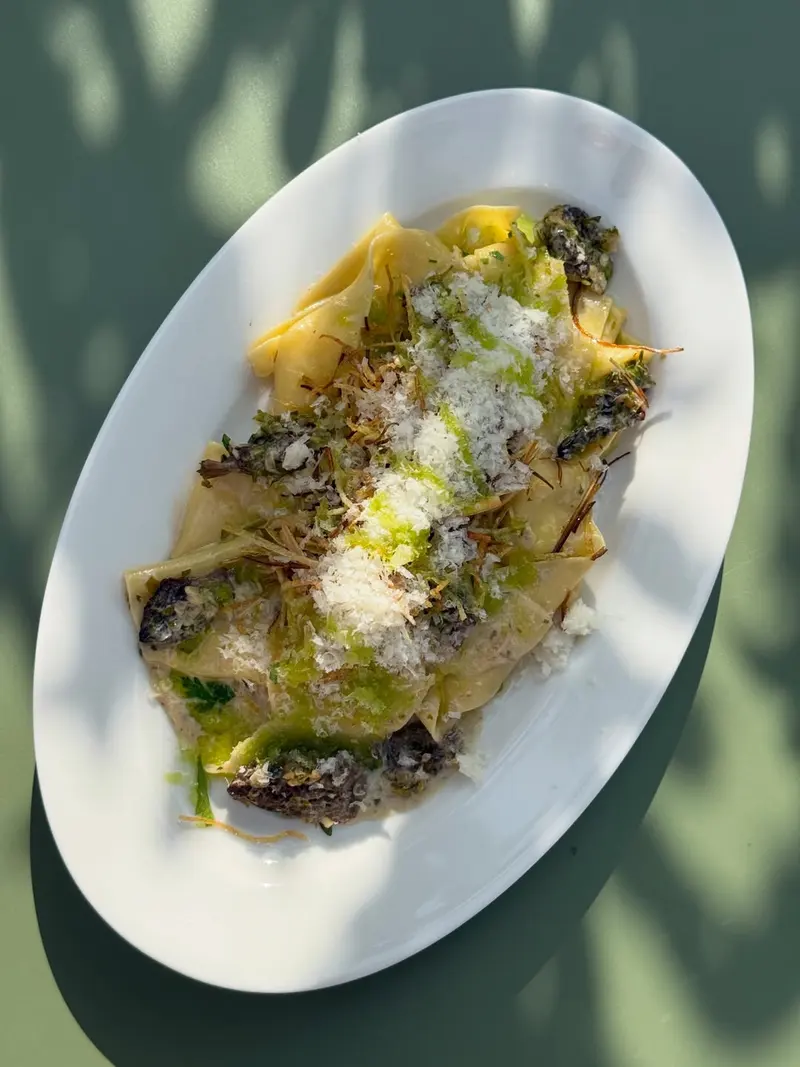 Papardelle | smardze | szalotka | sos śmietanowy makaron ze smardzami Łódź, makaron Łódź, smardze Łódź, restauracja Łódź